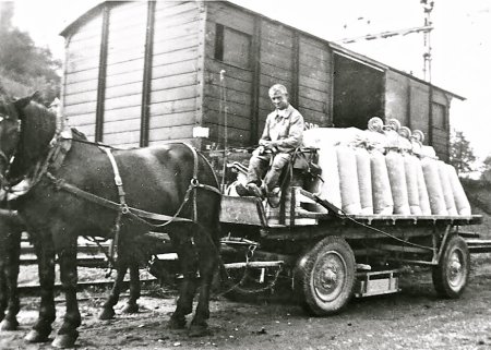 Pferdetransport aus Schupfart am Bahnhof Mumpf