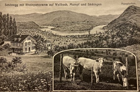 Ansichtskarte - _Schönegg_ mit Fluh und Rhein - ©Reto Hofer