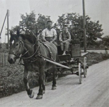 Wunderlin Karl, Landwirt, mit Pferdefuhrwerk